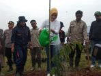 TANAM POHON: Istri Gubernur Ridwan Kamil, Atalia Praratya saat menanam pohon dilahan UPTD Balai Pengembangan Benih Dinas Hortikultura dan Tanaman Pangan Provinsi Jawa Barat, Jl. Raya Jatinangor Km 23 Kabupaten Sumedang, Rabu (01/02).